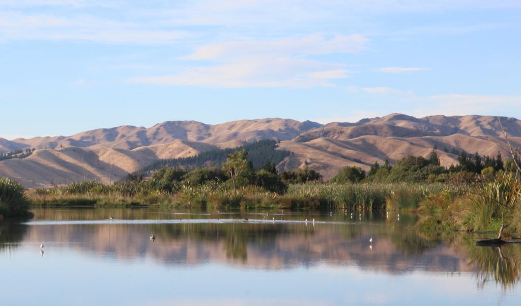 Misty River Retreat بلينهايم المظهر الخارجي الصورة